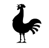 Nesin Mathematics Village rooster
